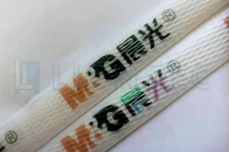Color UV Inkjet Printer for Printing Logo & Information on Packaging Bags